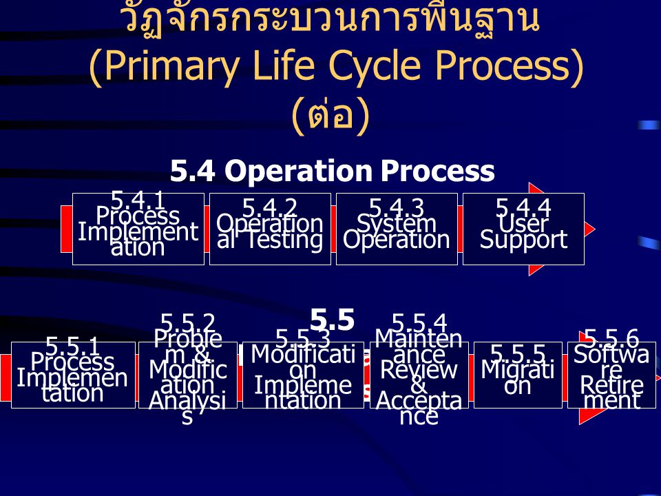 วัฏจักรกระบวนการพื้นฐาน (Primary Life Cycle Process) (ต่อ)