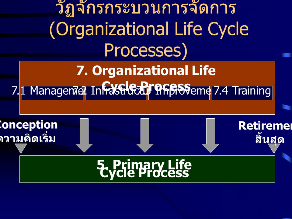 วัฏจักรกระบวนการจัดการ (Organizational Life Cycle Processes)