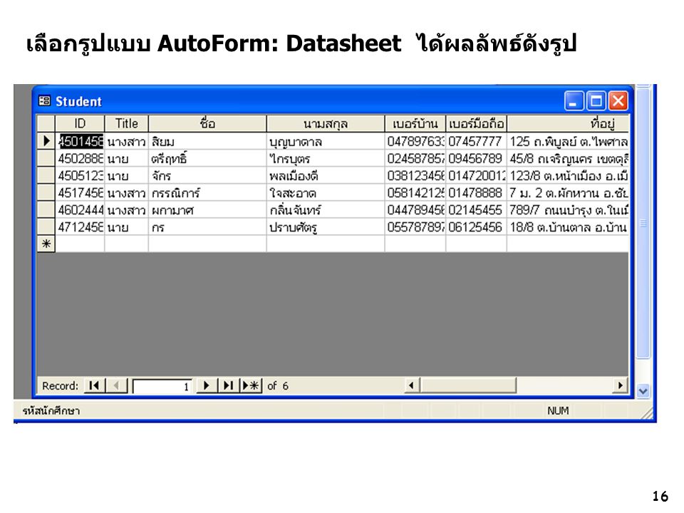 เลือกรูปแบบ AutoForm: Datasheet ได้ผลลัพธ์ดังรูป