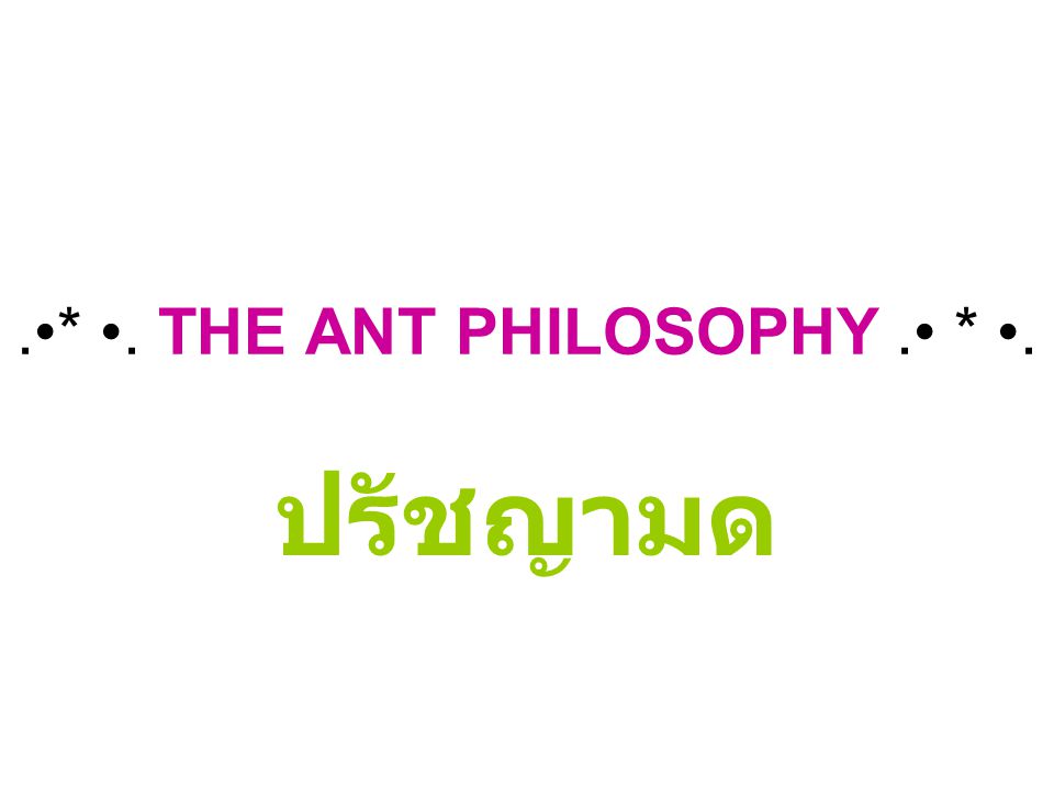 .•* •. THE ANT PHILOSOPHY .• * •.