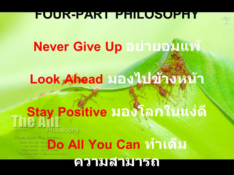 FOUR-PART PHILOSOPHY Never Give Up อย่ายอมแพ้ Look Ahead มองไปข้างหน้า Stay Positive มองโลกในแง่ดี Do All You Can ทำเต็มความสามารถ