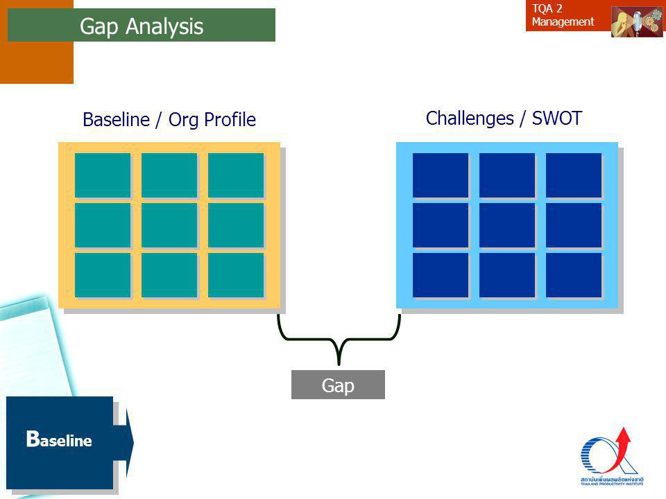 Gap Analysis Baseline / Org Profile Challenges / SWOT Gap Baseline 24