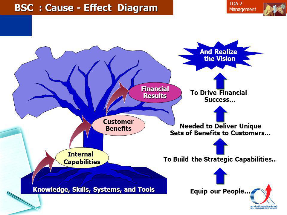 BSC : Cause - Effect Diagram