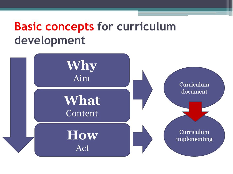 Basic concepts for curriculum development
