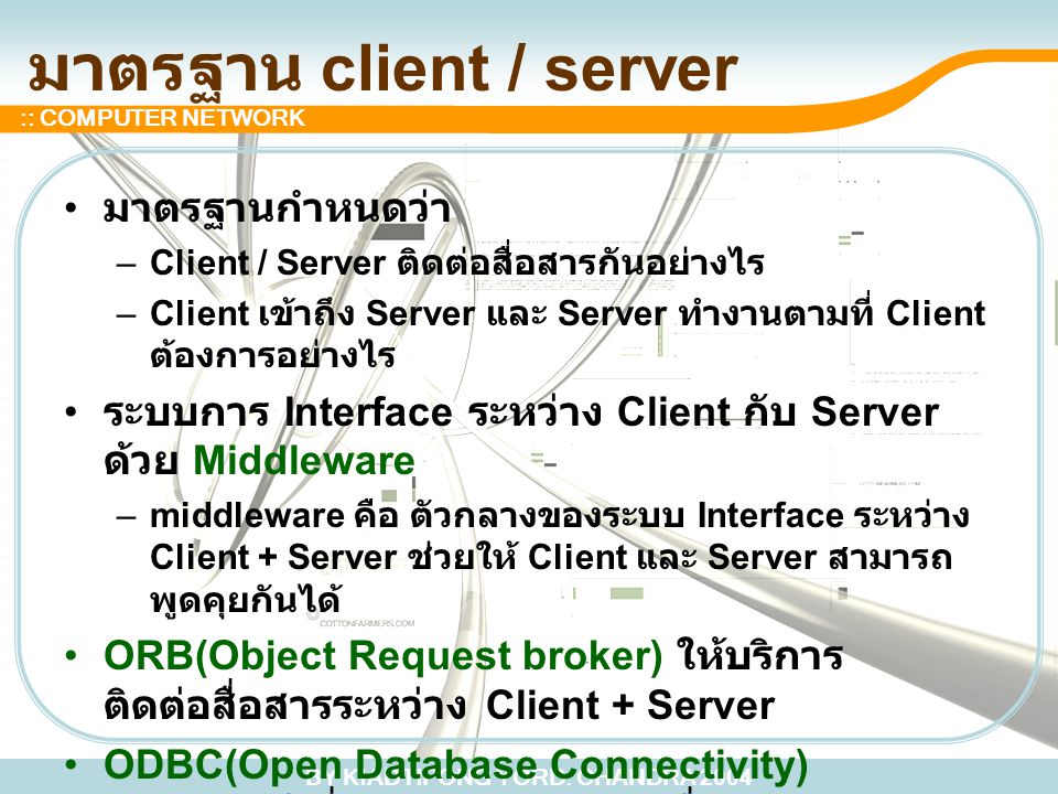 มาตรฐาน client / server