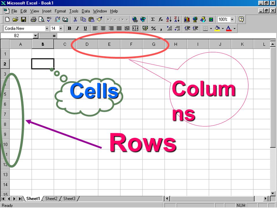 Columns Cells Rows