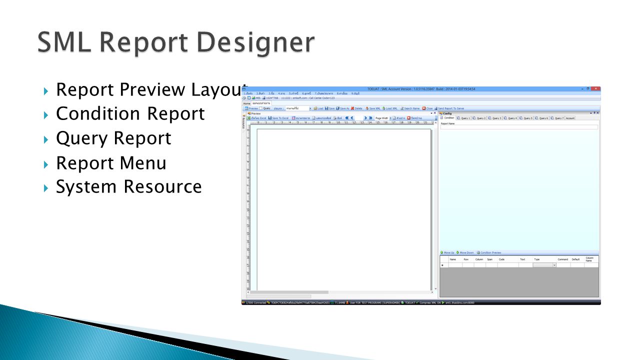 SML Report Designer Report Preview Layout Condition Report