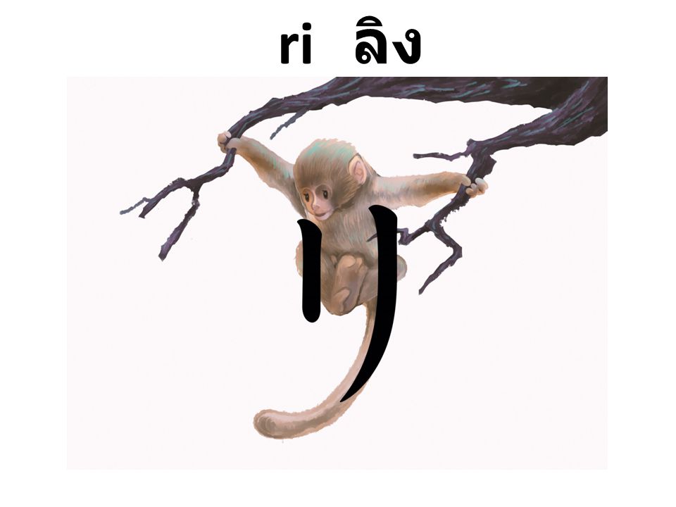 ri ลิง