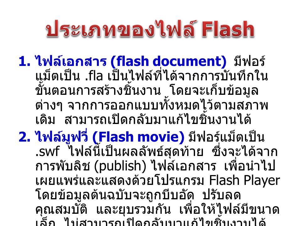 ประเภทของไฟล์ Flash