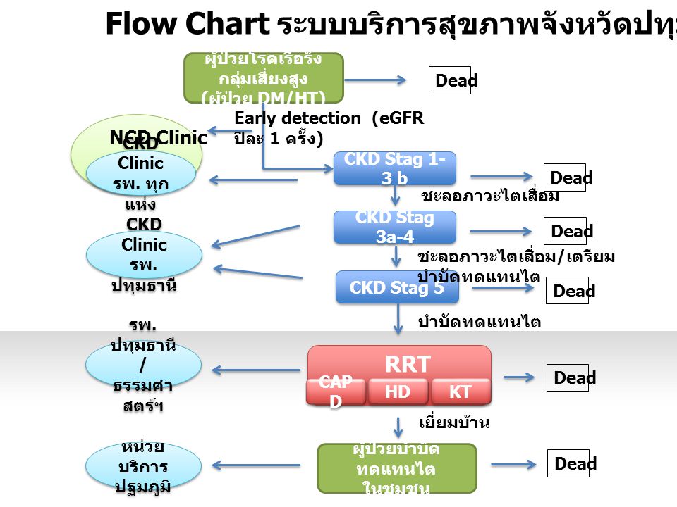 Flow Chart ระบบบริการสุขภาพจังหวัดปทุมธานี สาขาไต