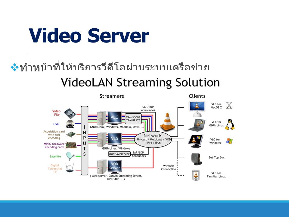 Video Server ทำหน้าที่ให้บริการวีดีโอผ่านระบบเครือข่าย