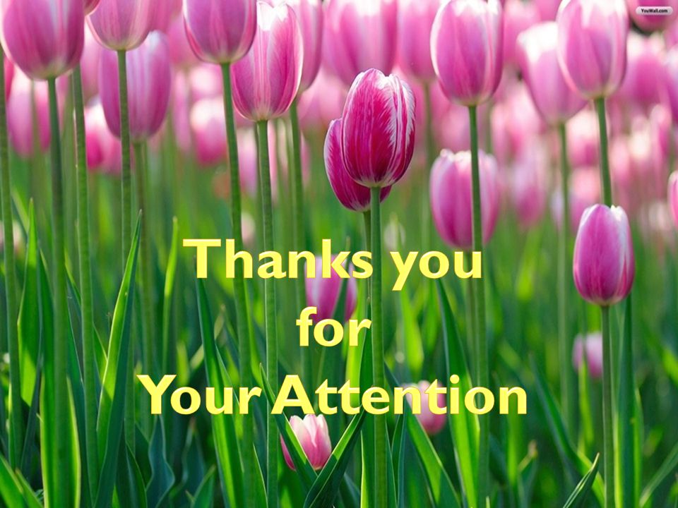 Thanks you for Your Attention