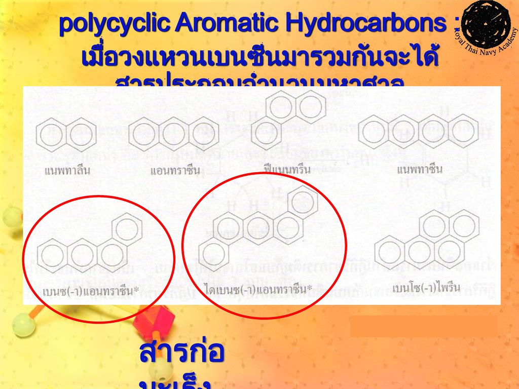 สารก่อมะเร็ง polycyclic Aromatic Hydrocarbons :