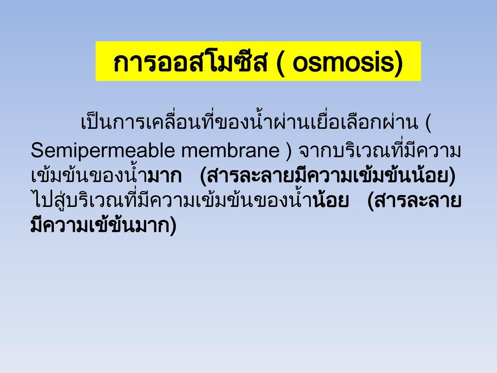 การออสโมซีส ( osmosis)