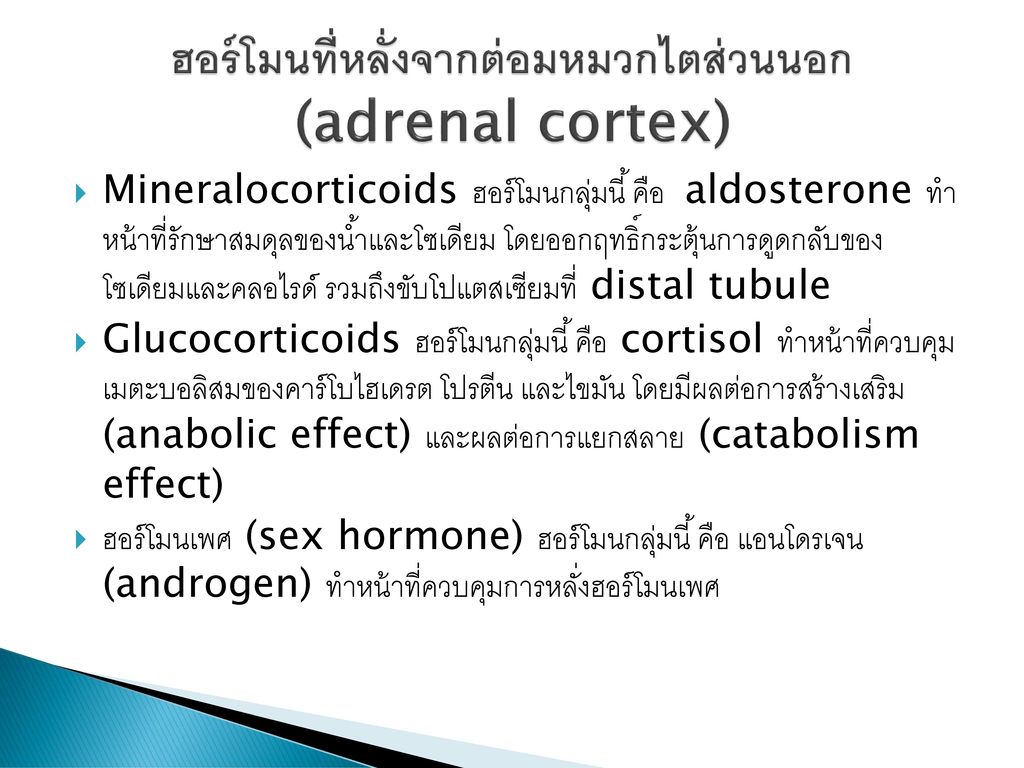 ฮอร์โมนที่หลั่งจากต่อมหมวกไตส่วนนอก (adrenal cortex)