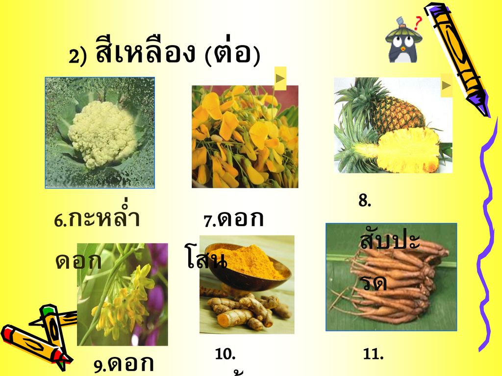 2) สีเหลือง (ต่อ) 8.สับปะรด 6.กะหล่ำดอก 7.ดอกโสน 9.ดอกขจร 10.ขมิ้นชัน