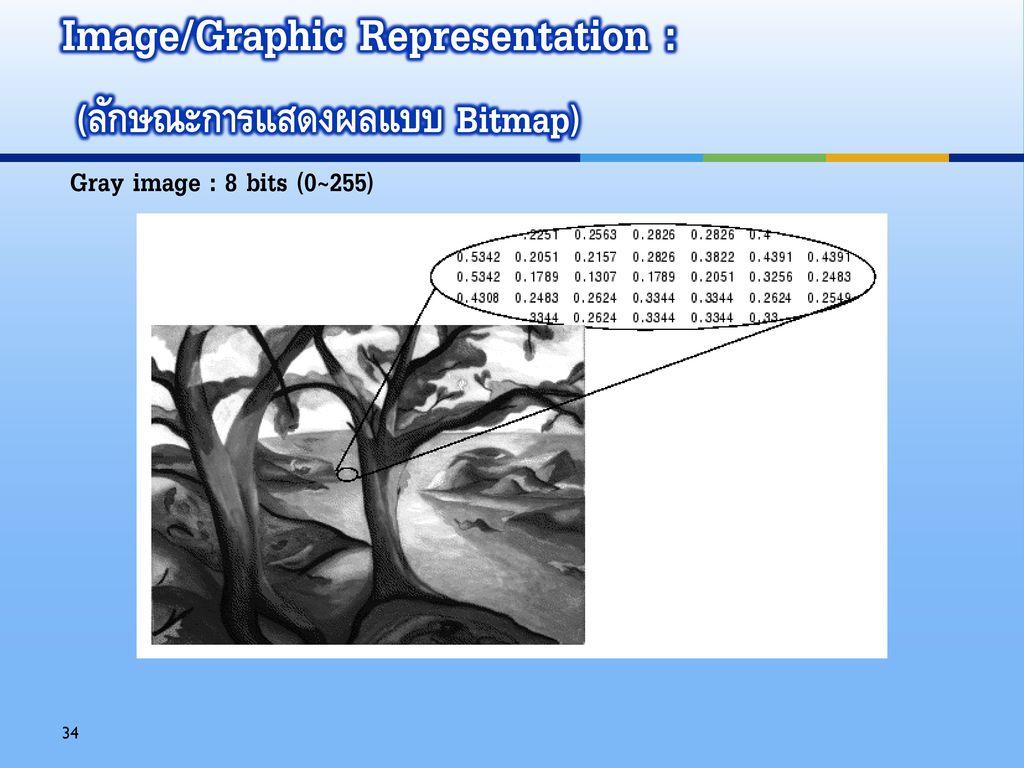 Image/Graphic Representation : (ลักษณะการแสดงผลแบบ Bitmap)