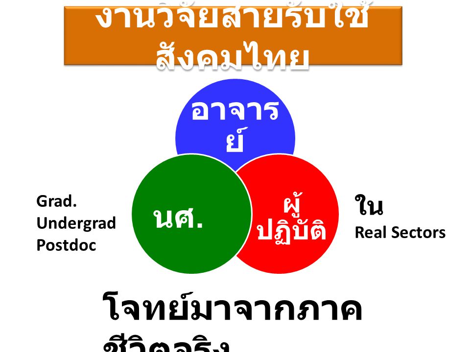 งานวิจัยสายรับใช้สังคมไทย