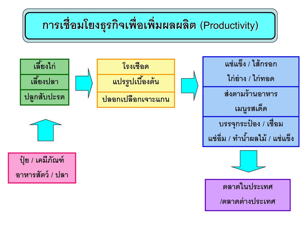 การเชื่อมโยงธุรกิจเพื่อเพิ่มผลผลิต (Productivity)