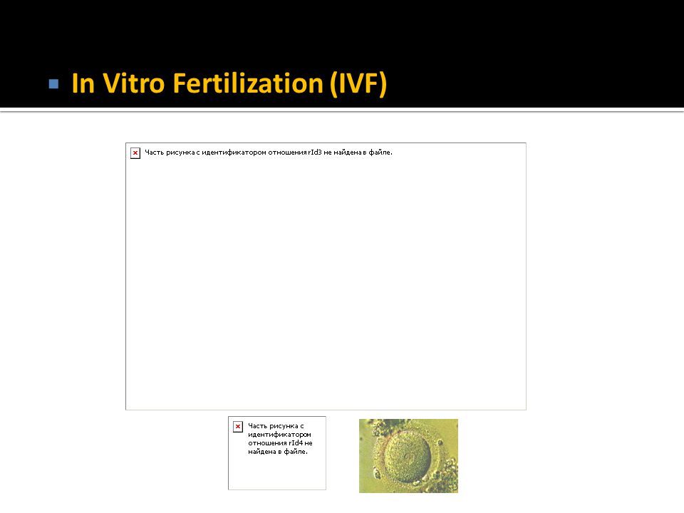 Biotechnology applied in animal breeding - ppt ดาวน์โหลด