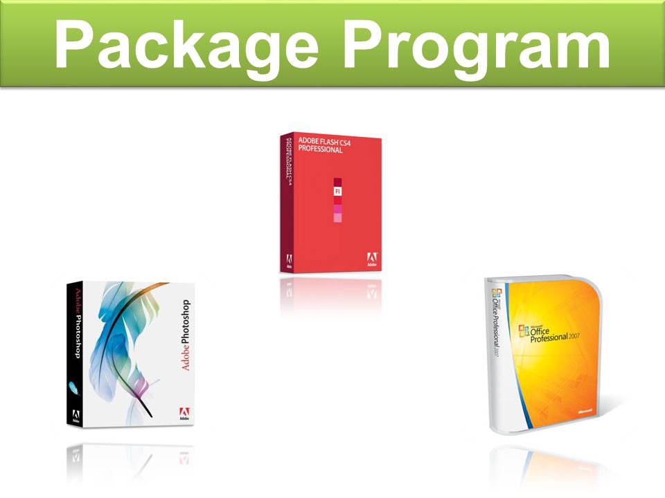 Package Program