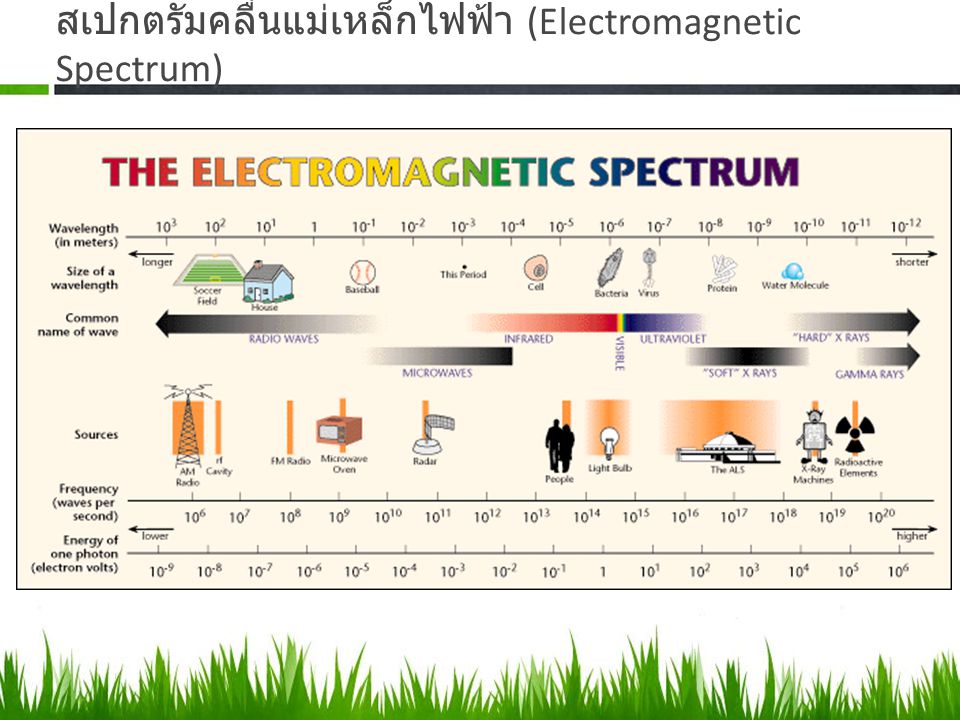สเปกตรัมคลื่นแม่เหล็กไฟฟ้า (Electromagnetic Spectrum)