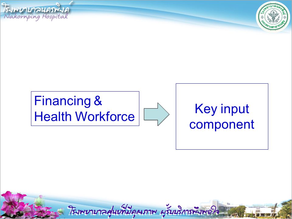 Key input component Financing & Health Workforce