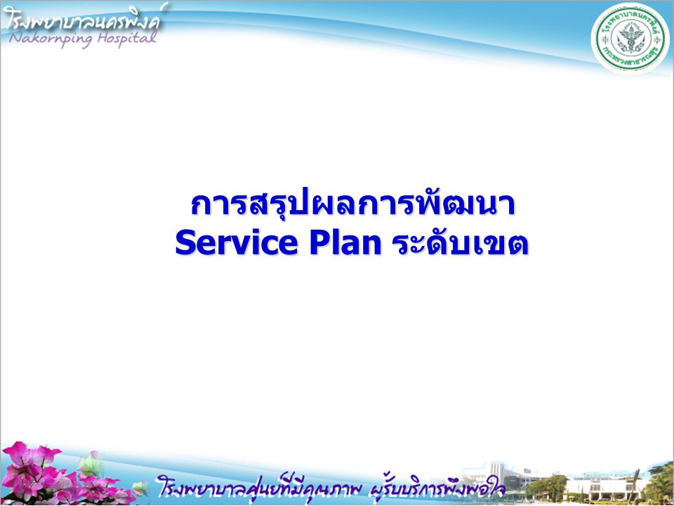 การสรุปผลการพัฒนา Service Plan ระดับเขต