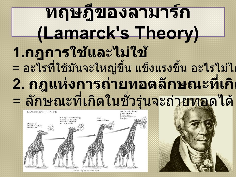 ทฤษฎีของลามาร์ก (Lamarck s Theory)