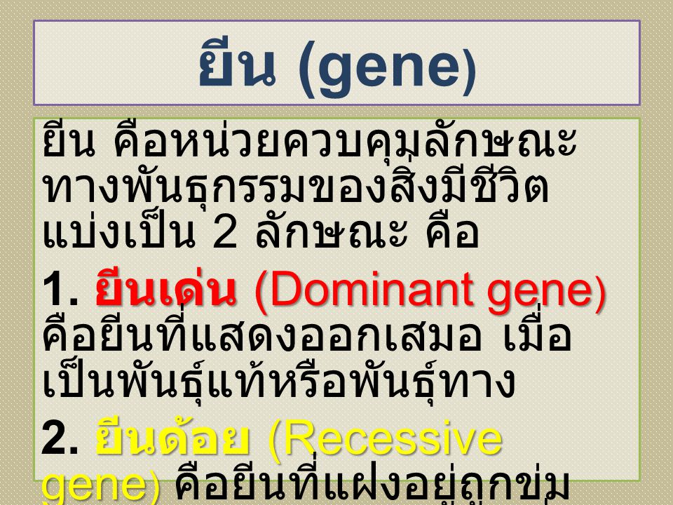 ยีน (gene)