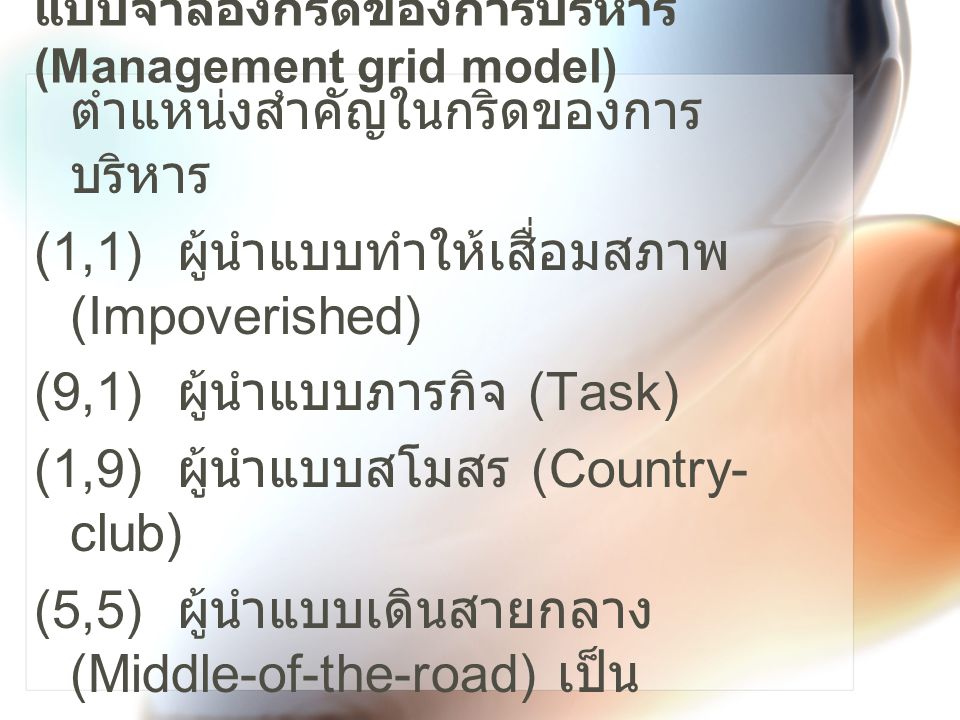 แบบจำลองกริดของการบริหาร (Management grid model)