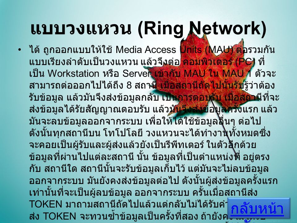 แบบวงแหวน (Ring Network)