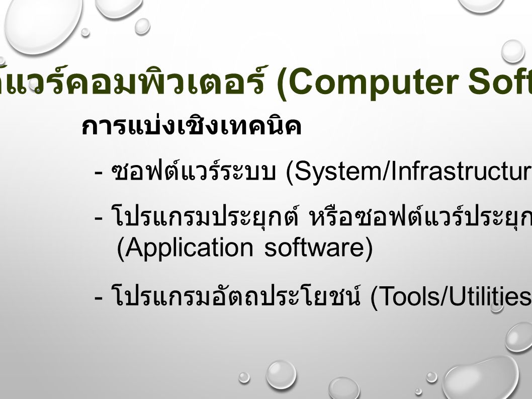 ซอฟต์แวร์คอมพิวเตอร์ (Computer Software)