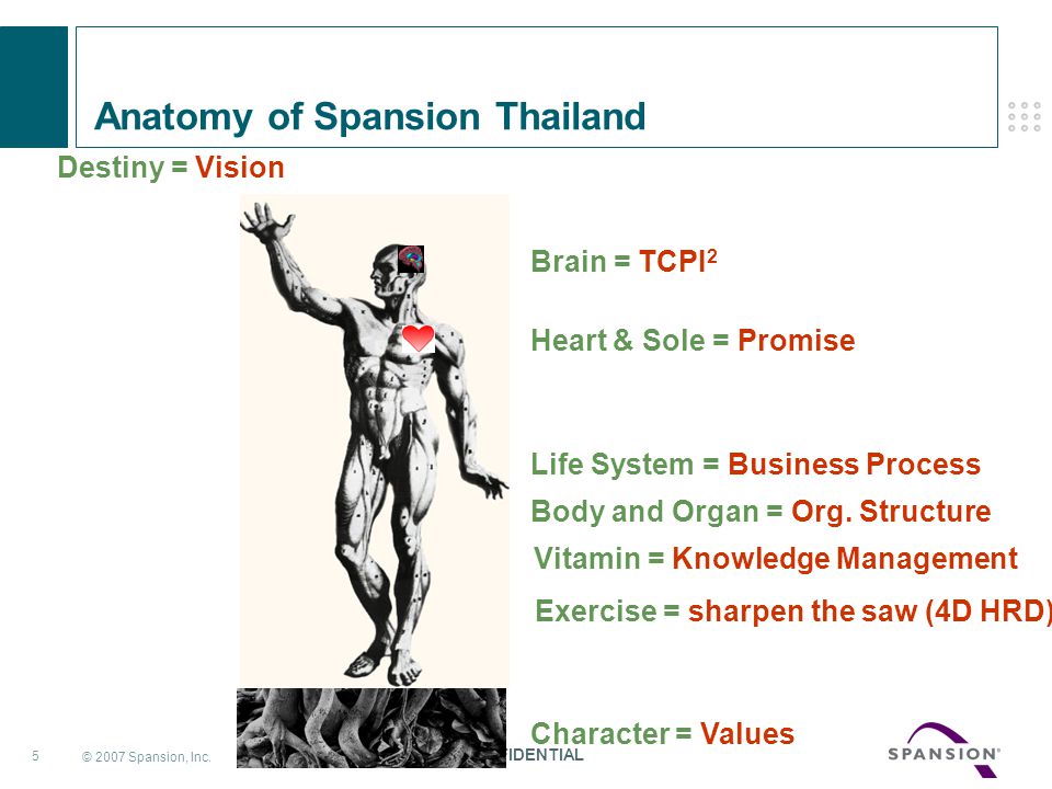 Anatomy of Spansion Thailand