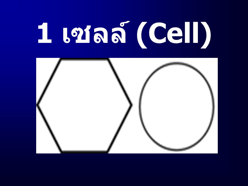 1 เซลล์ (Cell)