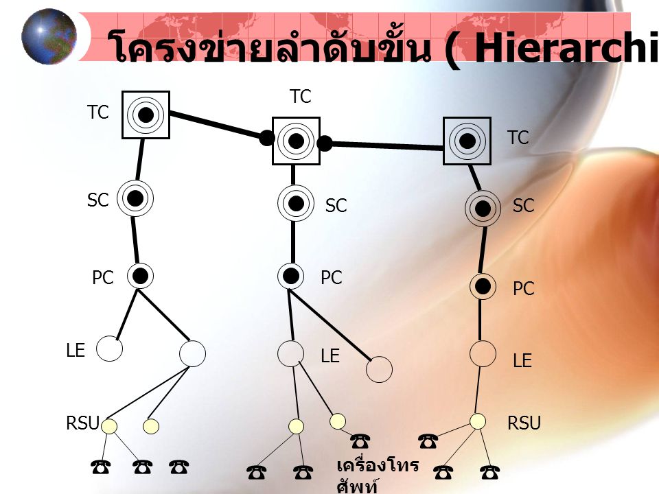 โครงข่ายลำดับขั้น ( Hierarchical Network )