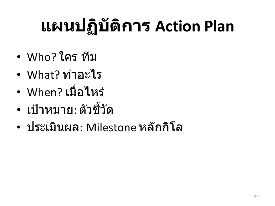 แผนปฏิบัติการ Action Plan