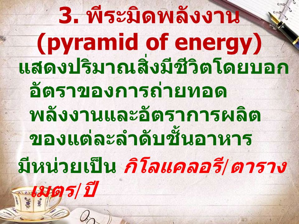3. พีระมิดพลังงาน (pyramid of energy)