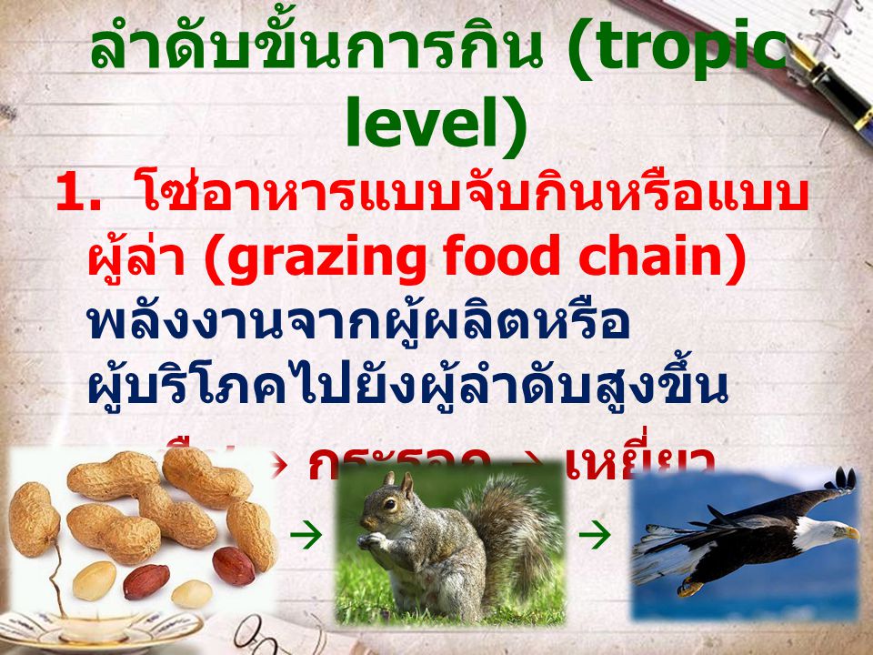 ลำดับขั้นการกิน (tropic level)