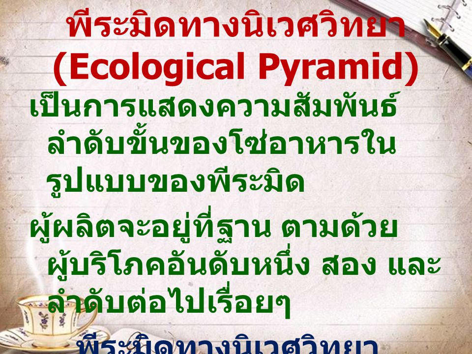 พีระมิดทางนิเวศวิทยา (Ecological Pyramid)