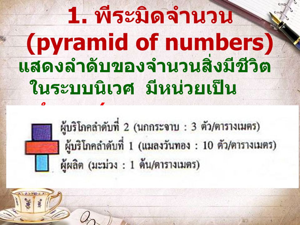 1. พีระมิดจำนวน (pyramid of numbers)