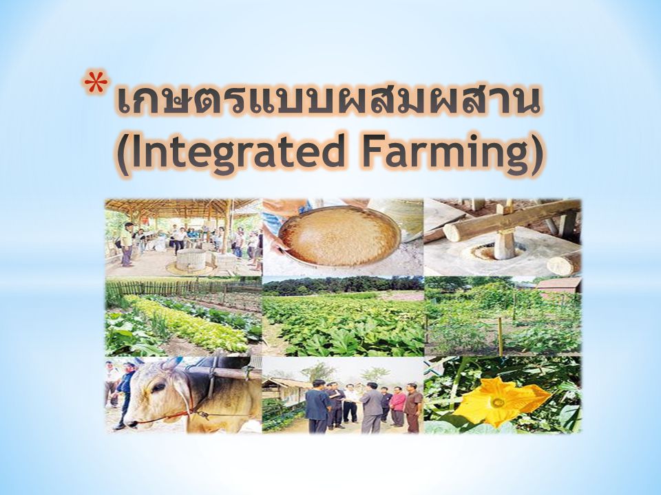 เกษตรแบบผสมผสาน (Integrated Farming)
