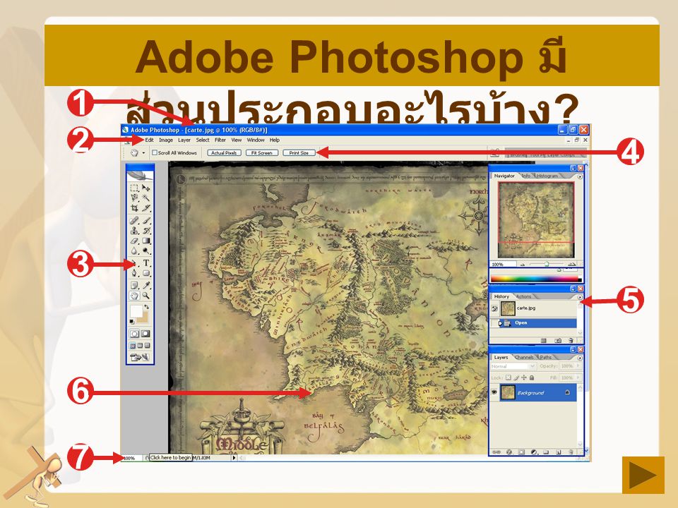 Adobe Photoshop มีส่วนประกอบอะไรบ้าง