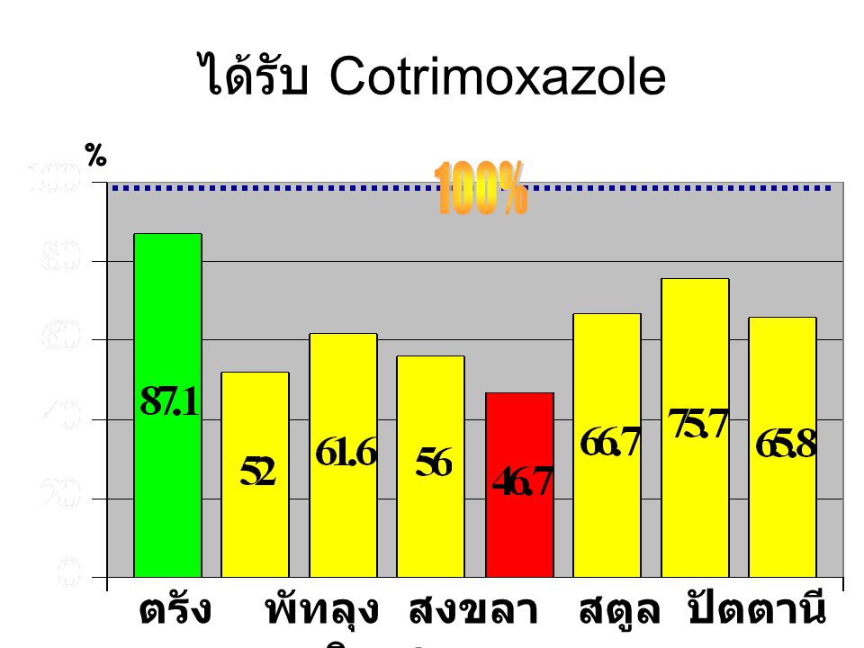 ได้รับ Cotrimoxazole 100%