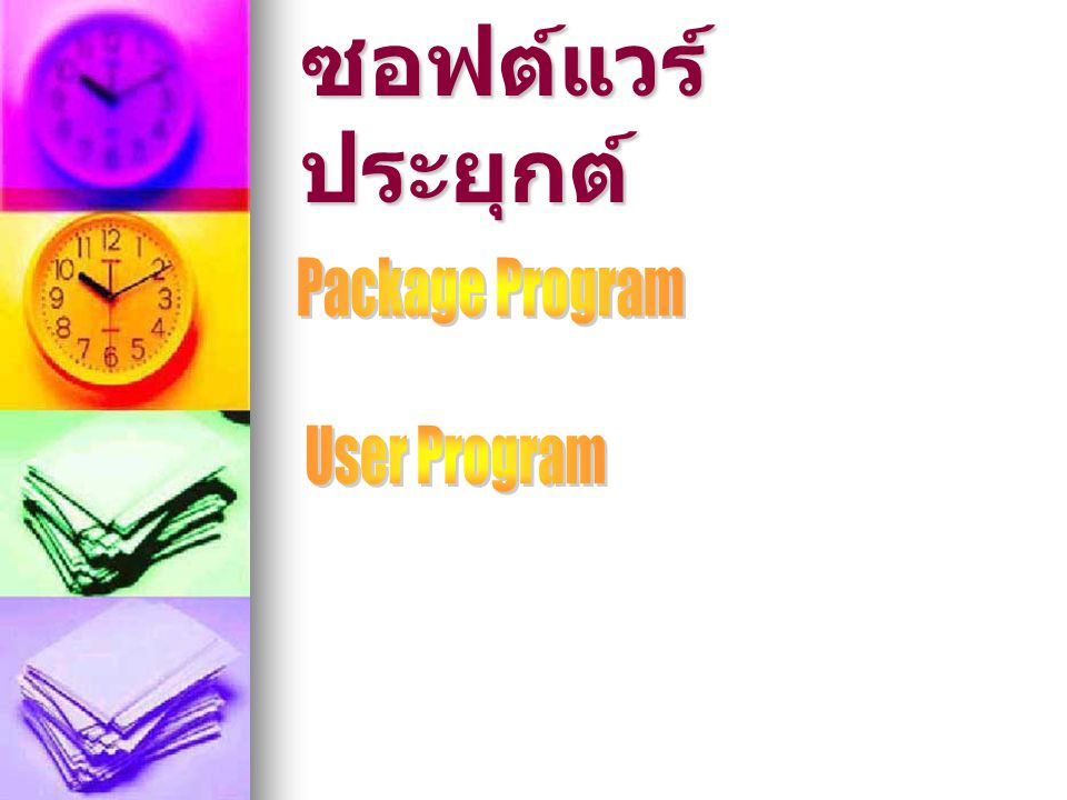 ซอฟต์แวร์ประยุกต์ Package Program User Program