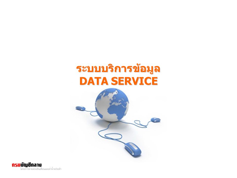 ระบบบริการข้อมูล DATA SERVICE