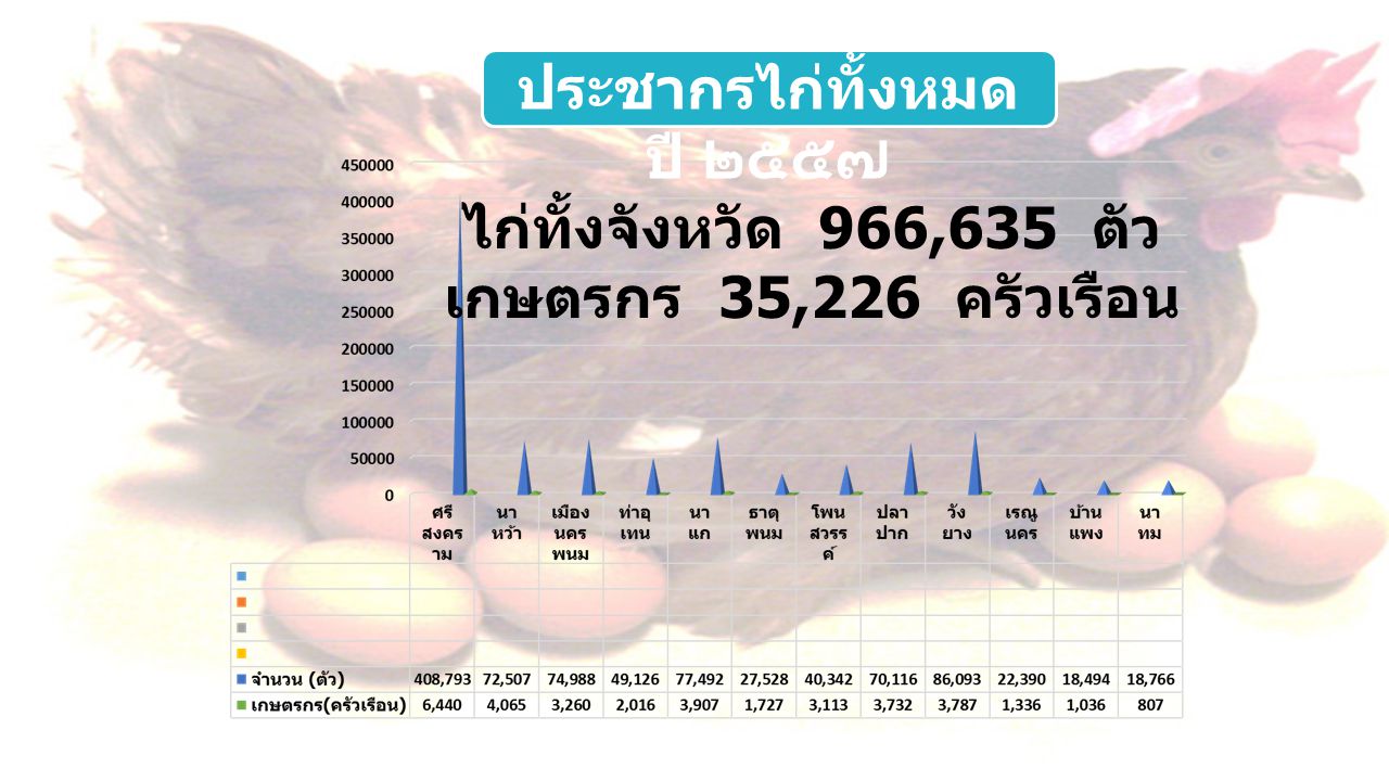 ไก่ทั้งจังหวัด 966,635 ตัว เกษตรกร 35,226 ครัวเรือน