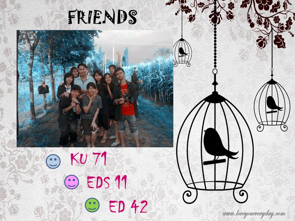 FRIENDS KU 71 EDS 11 ED 42