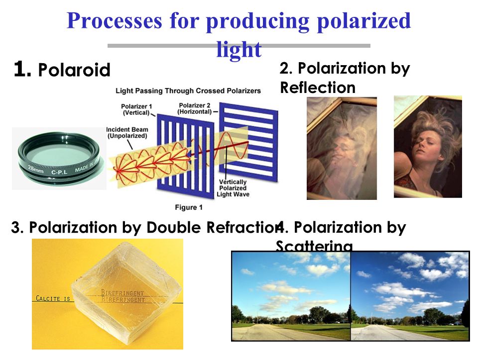 Processes for producing polarized light