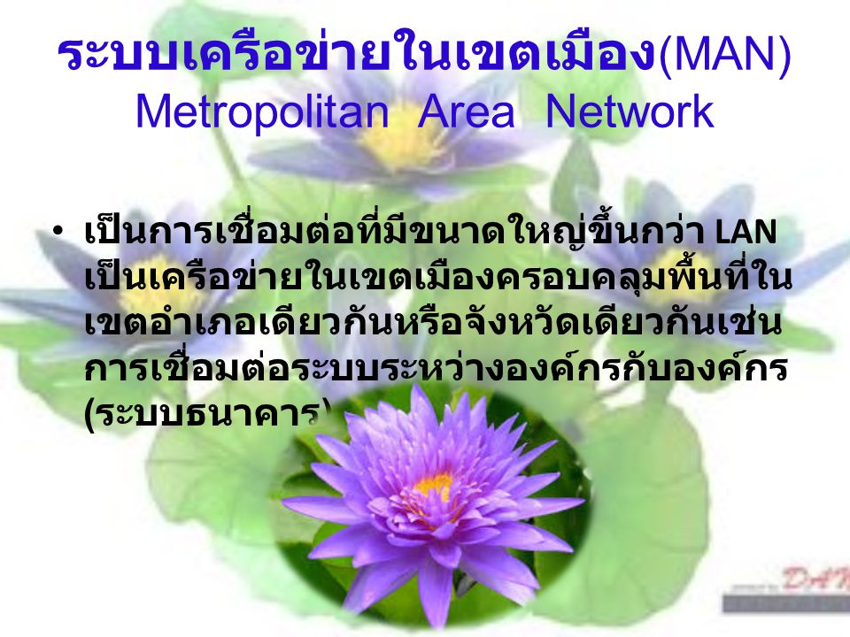 ระบบเครือข่ายในเขตเมือง(MAN) Metropolitan Area Network